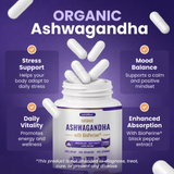 nutriEffect® Organic Ashwagandha 1200 mg with BioPerine® – Stress, Mood & Daily Vitality Support – 60 capsules