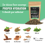 Natural Weight Loss Tea To Lose Stomach Fat, Reduce Bloating,Cleanse and Detox - NE nutriEffect - Vitamins & Supplements