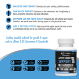 Active Joint Support - NE nutriEffect - Vitamins & Supplements